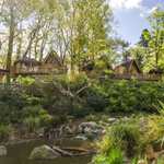 Nuit insolite au Zoo de La Flèche : 2J/1N - Lodge lémuriens - Billet 2 jours + dîner + petit-déj + visite guidée VIP - Novembre (151€/pers)